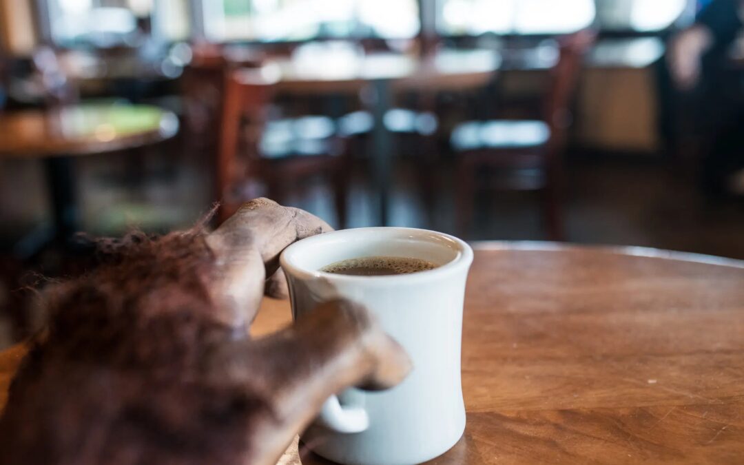 Follow Sasquatch on the Think Local First Coffee Crawl