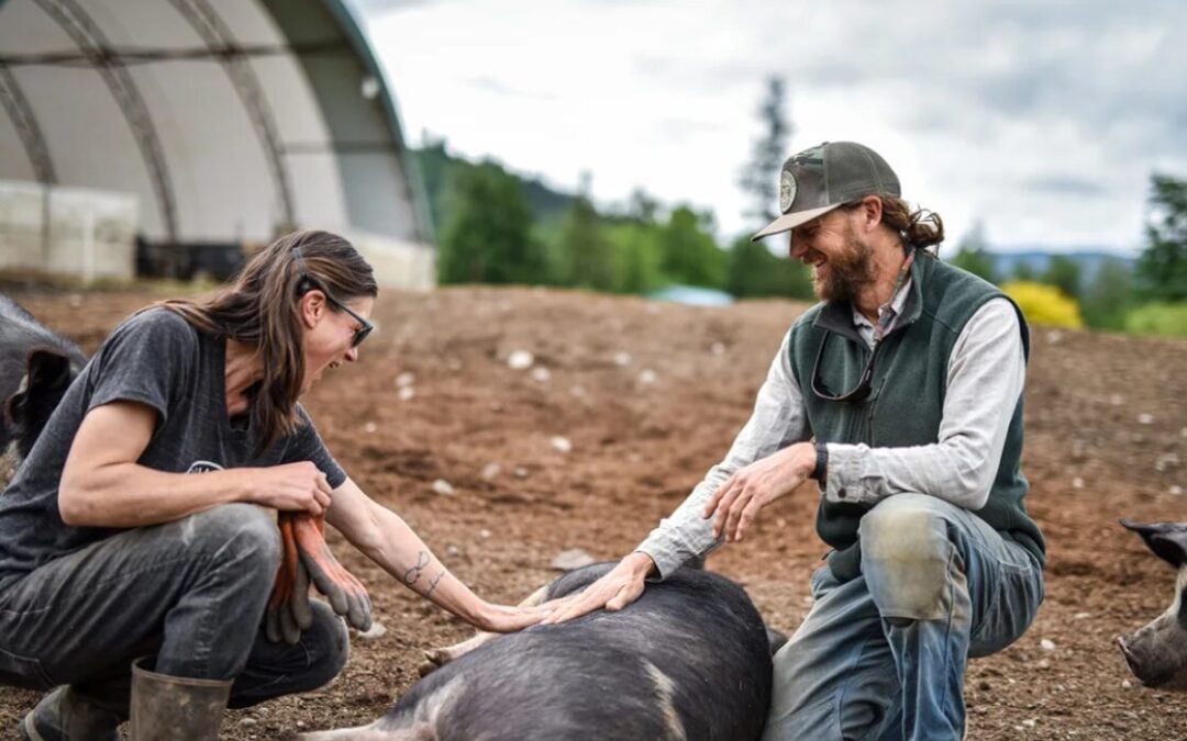 Whatcom County Farm Tour: A look at farm to table behind the scenes – My Bellingham Now