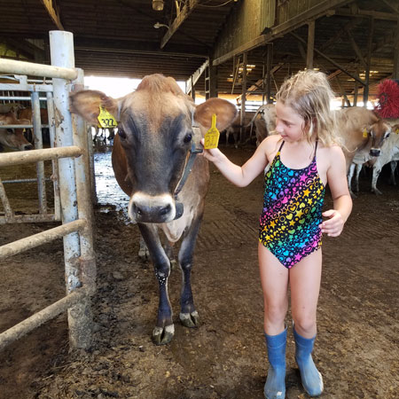 Twin Brook Creamery