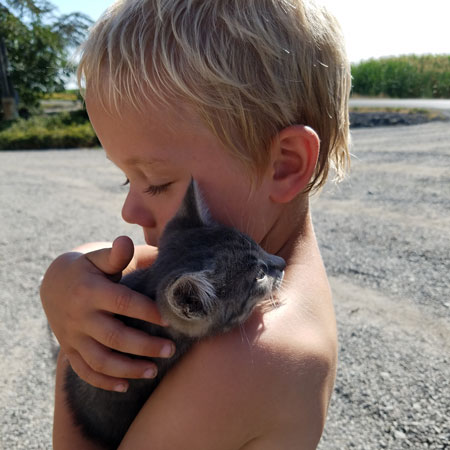 Kittens and kids on the farm