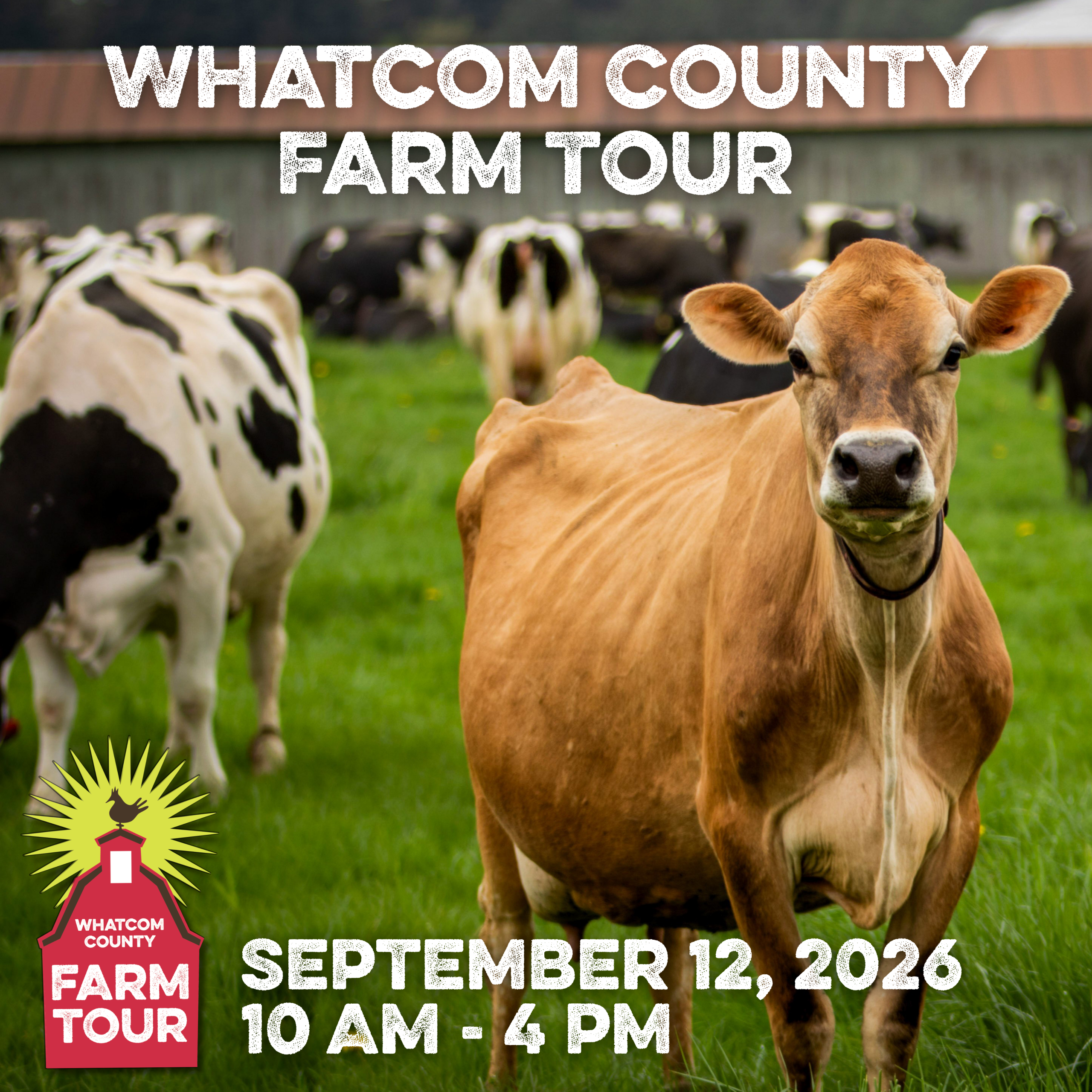 Whatcom County Farm Tour