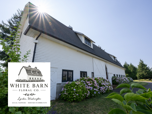 White barn with sunshine and flowers