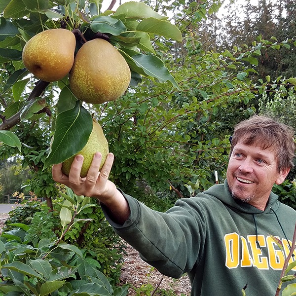 Wild acres Farms Pears