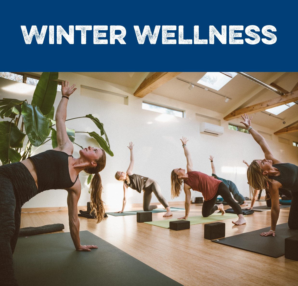 Winter Wellness_Square Image Block People doung yoga with text that reads winter wellness