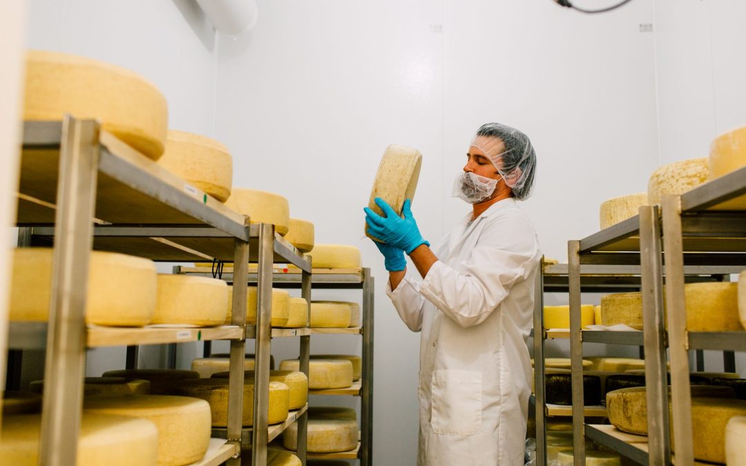 acme-cheese-food-katheryn-moran-photography-31