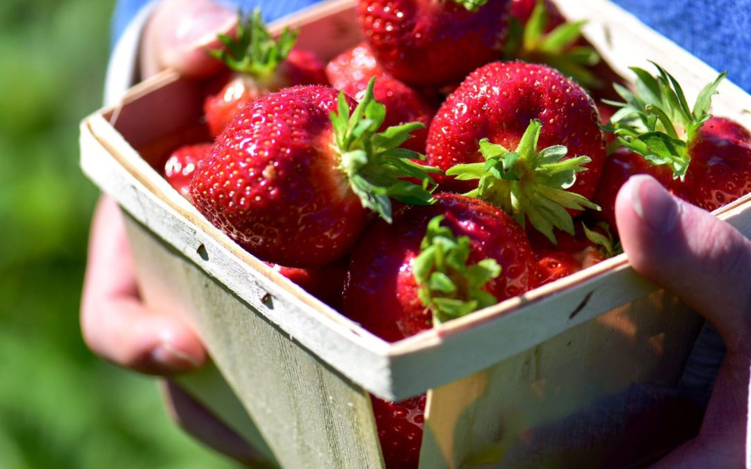 What’s New with Sustainable Connections