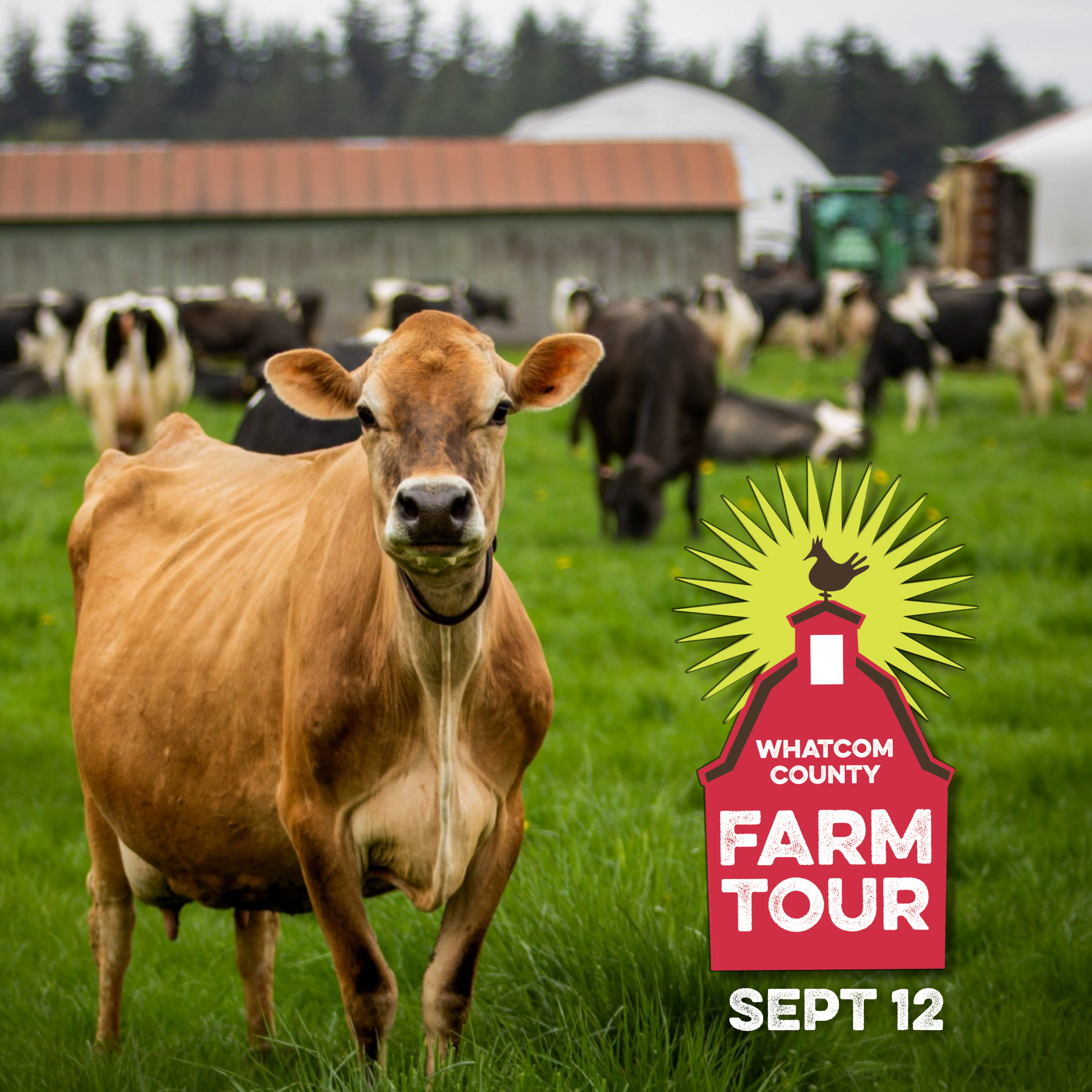 Whatcom County Farm Tour