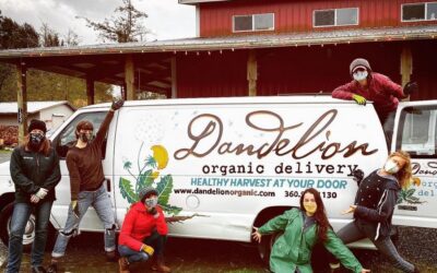 Dandelion Organic Delivery Brings Produce to the People