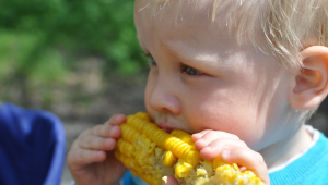 eating corn