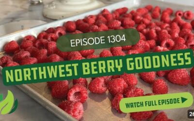 Northwest Berry Goodness I Season 13 Episode 4 I Washington Grown