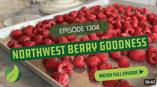 Northwest Berry Goodness I Season 13 Episode 4 I Washington Grown
