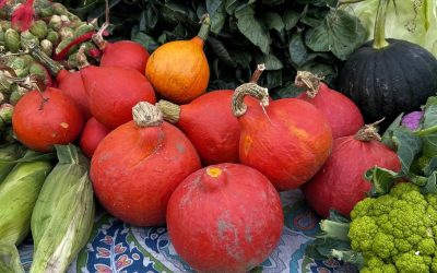 Top 5 Ways to Celebrate a Local Thanksgiving