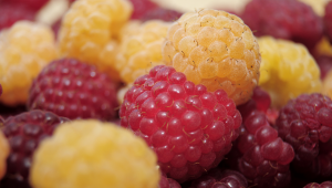 raspberries