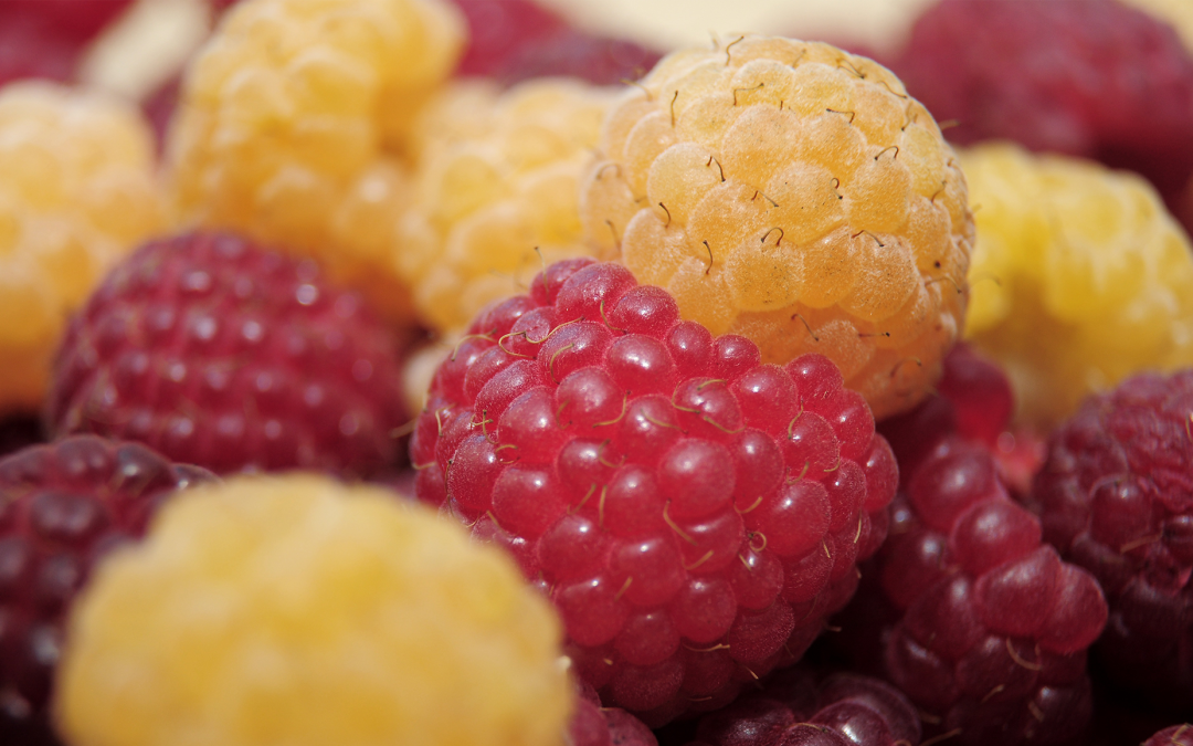 raspberry-header