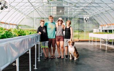 A Growing Enterprise: Farmers embrace hydroponic and aquaponic systems to cultivate fresh produce year-round – The Ruralite