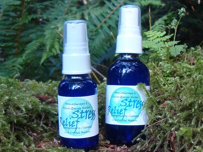 Two bottles of Tree Frog Farm's Stress Releaf Aromatherapy stand among some ferns.