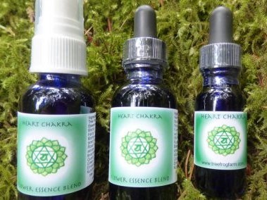 Three different flower essence blends from Tree Frog Farm displayed on grass.