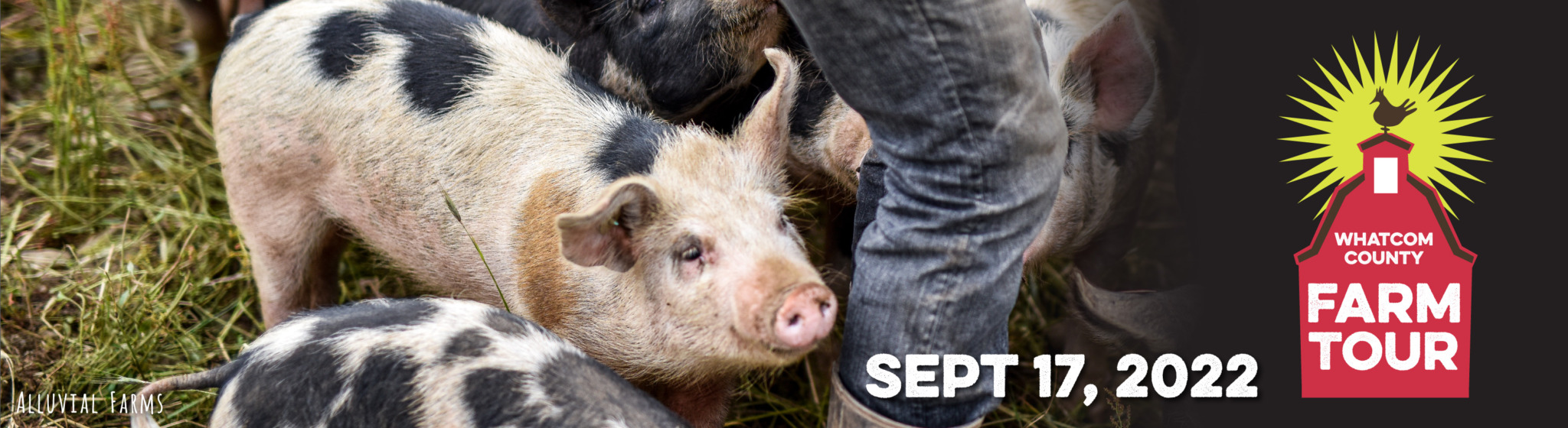 farm tour whatcom county